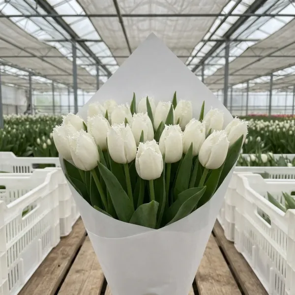 Монобукет из 25 белых бахромчатых тюльпанов Cricko в крафт-упаковке, Rosbotanic Тюмень