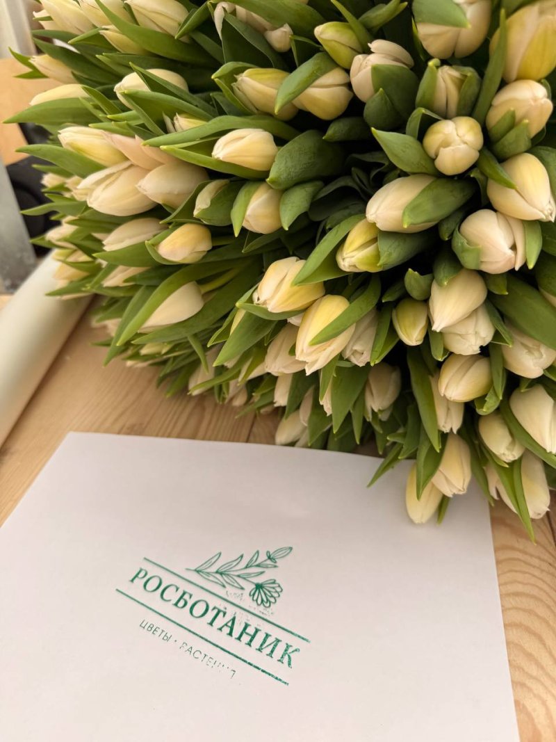 Букет 50 пионовидных тюльпанов в фирменной упаковке, теплица Rosbotanic Тюмень