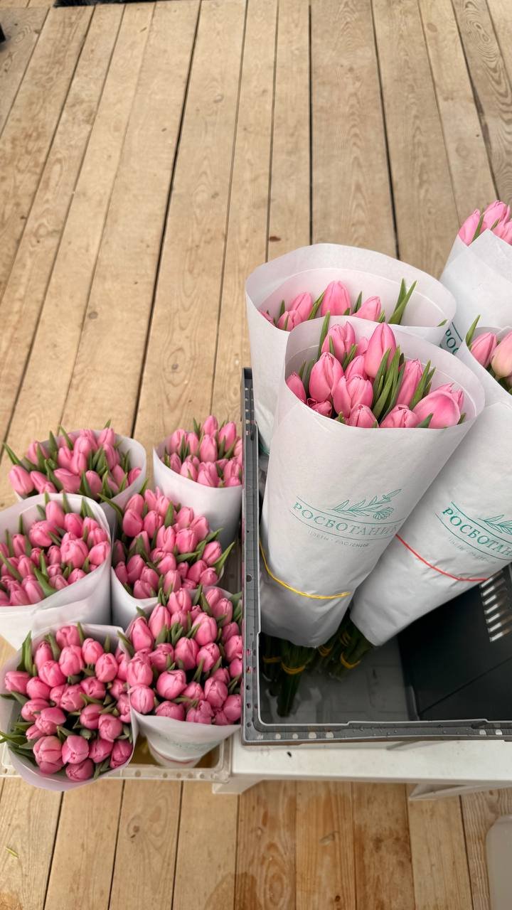Готовые букеты в фирменной упаковке Rosbotanic — тюльпаны свежего среза, самовывоз Ушакова 20