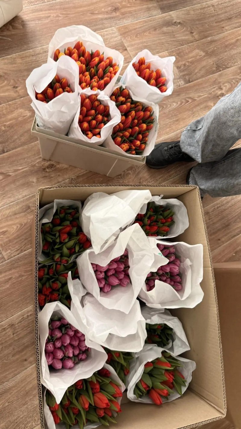 Готовый букет 25 тюльпанов в фирменной упаковке Rosbotanic — популярный размер к подарку