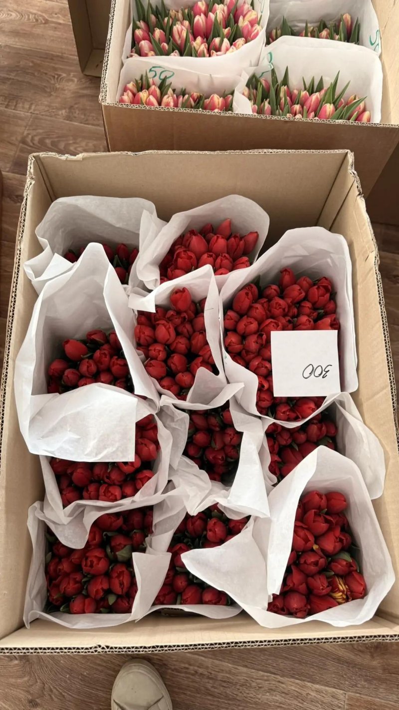 Букет 25 тюльпанов Rosbotanic — фирменная упаковка, свежесть 2-24 часа до отгрузки